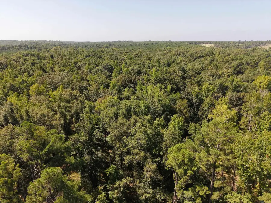 Address Withheld By Seller, Star City, AR 71667 - #2