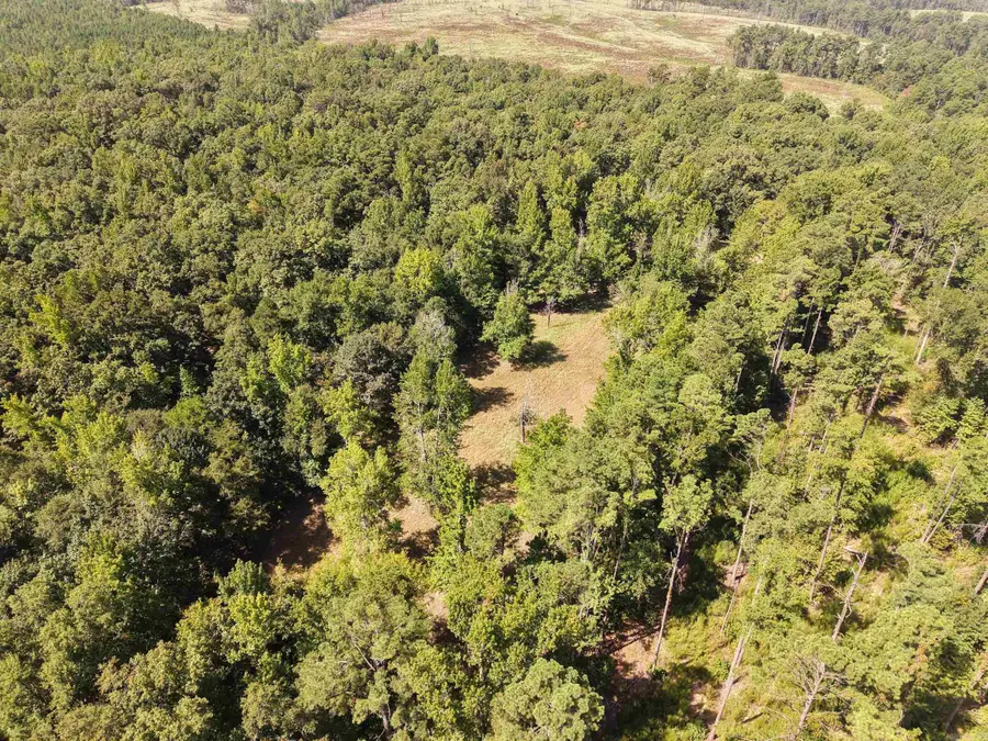 Address Withheld By Seller, Star City, AR 71667 - #3