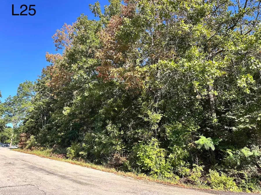 TBD Enid Dr Drive, Cherokee Village, AR 72529 - #2