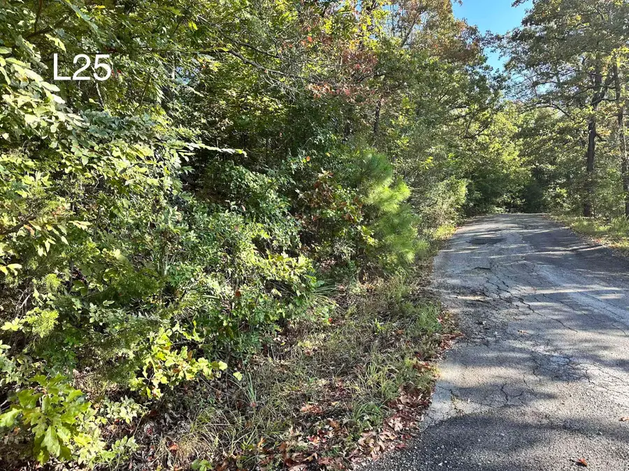 TBD Enid Dr Drive, Cherokee Village, AR 72529 - #3