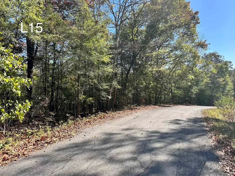 TBD Ozoo Cir Circle, Cherokee Village, AR 72529 - #3