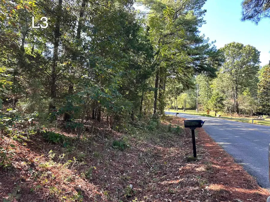 TBD Pottawattamie Dr Drive, Cherokee Village, AR 72529 - #3