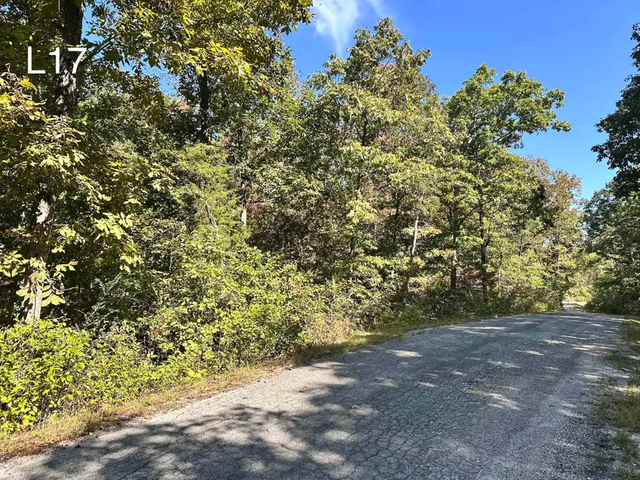 TBD Seneca Dr Drive, Cherokee Village, AR 72529 - #2