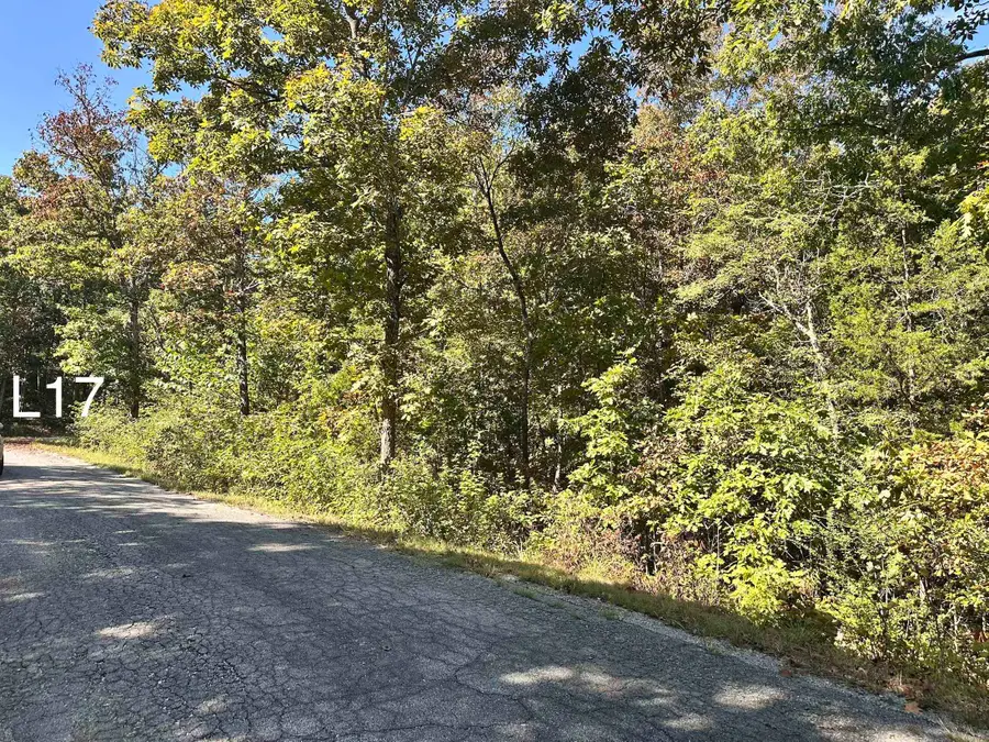TBD Seneca Dr Drive, Cherokee Village, AR 72529 - #3