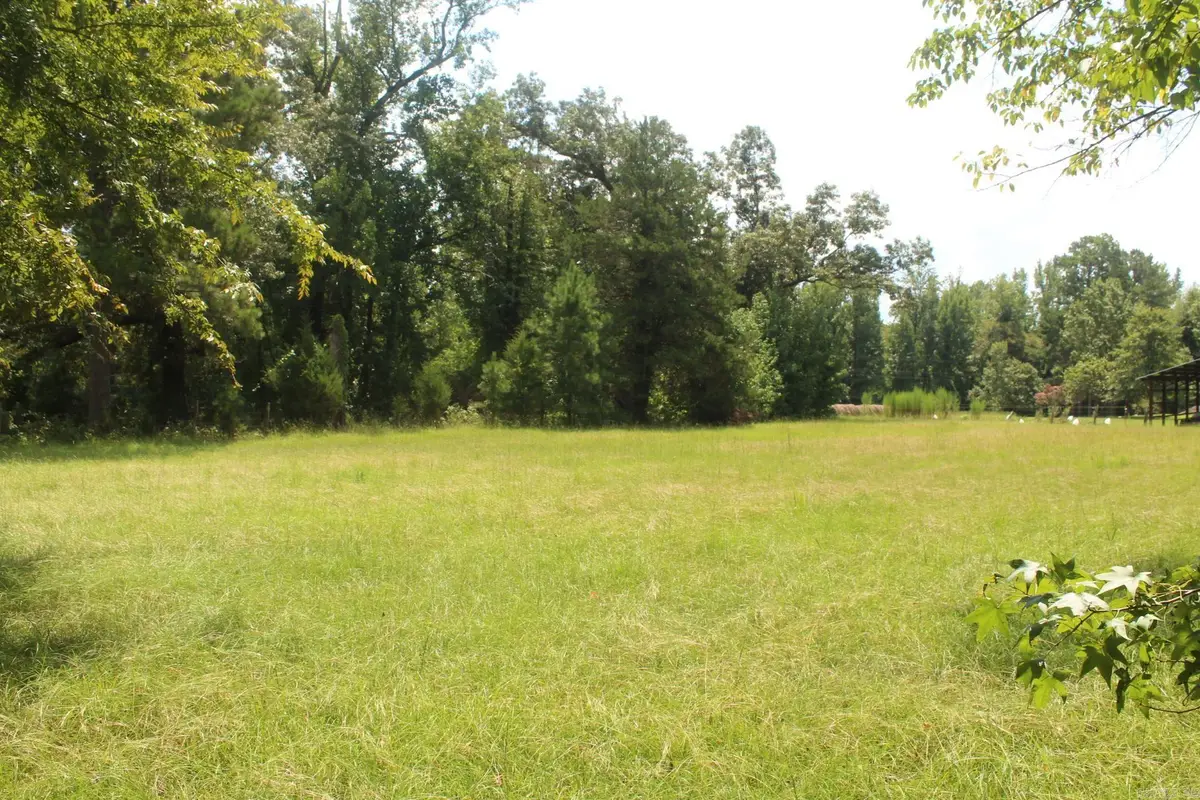 Billstown Road, Delight, AR 71940 - #1