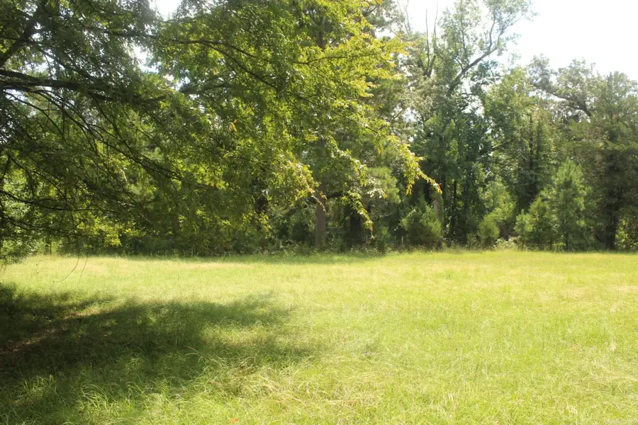 Billstown Road, Delight, AR 71940 - #2