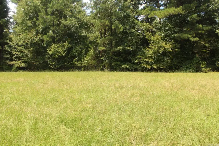 Billstown Road, Delight, AR 71940 - #3