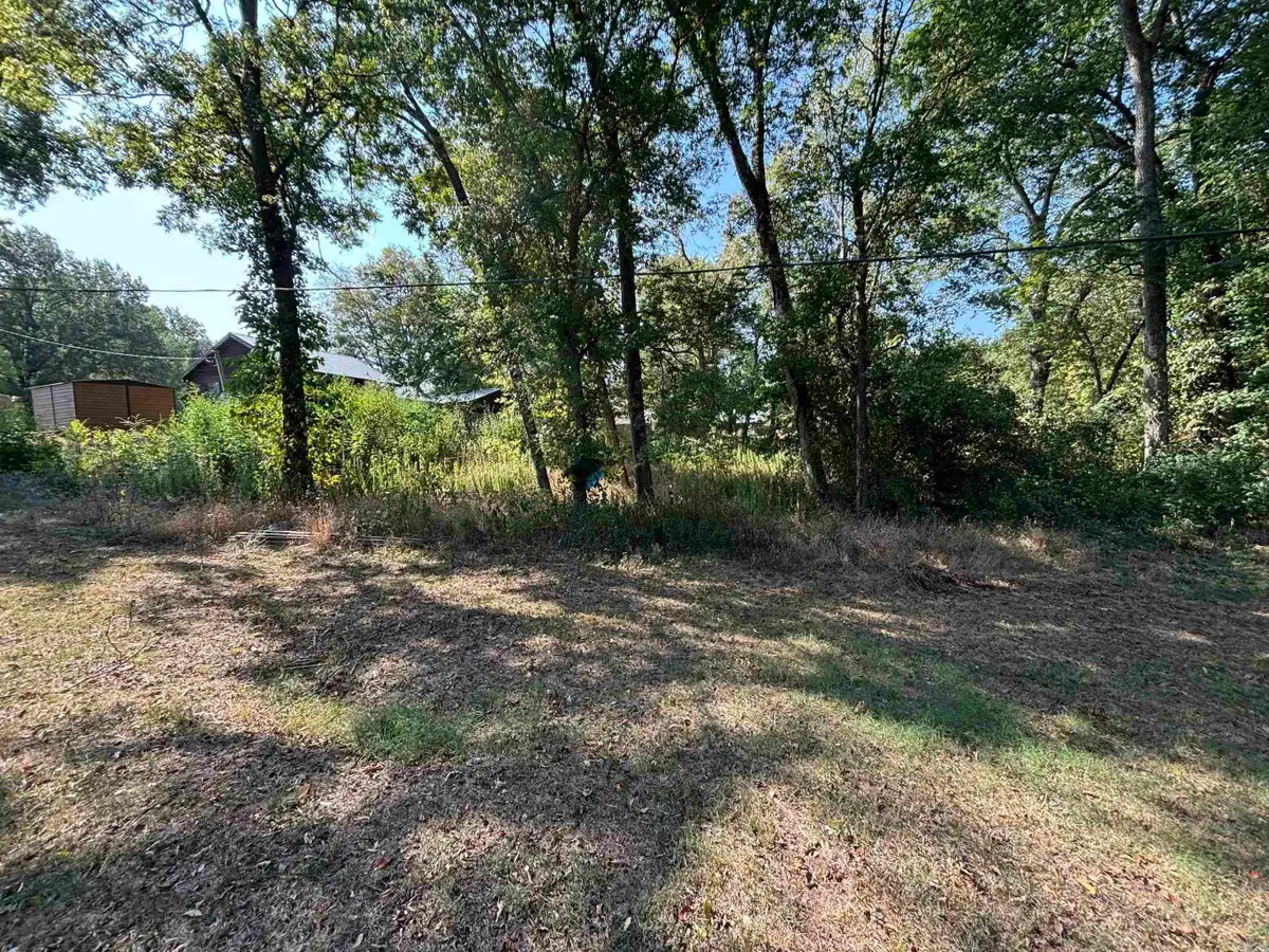 000 Robinson Street, De Valls Bluff, AR 72041 - #1