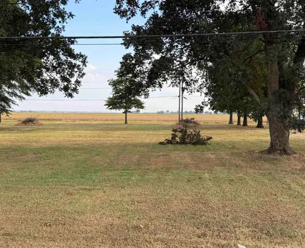 410 W State, Caraway, AR 72419