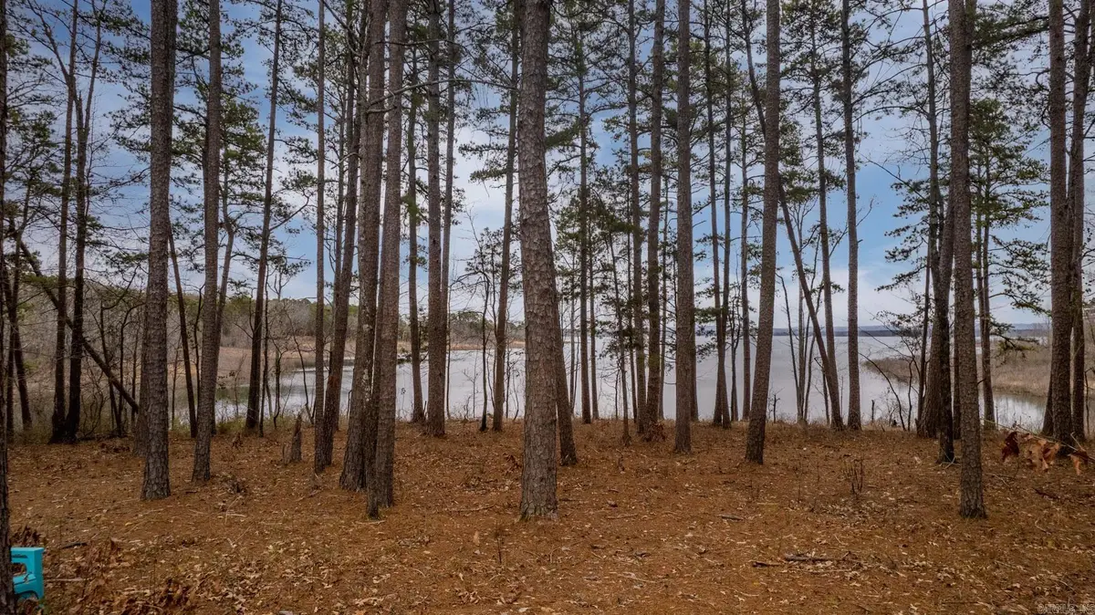 3195 Brownsville, Greers Ferry, AR 72067 - #1