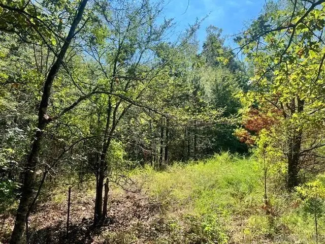 E Red Barn Road, Cave City, AR 72521 - #2