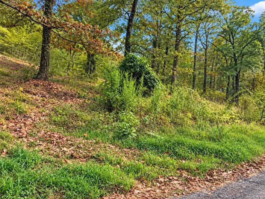 Lot 48 Crappie Lane, Conway, AR 72032 - #2