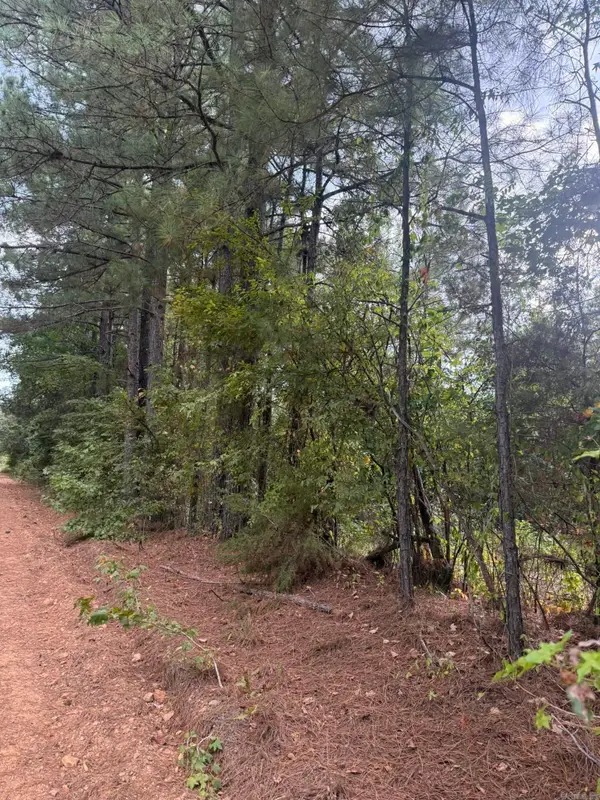 434 Hempstead 48, Columbus, AR 71831