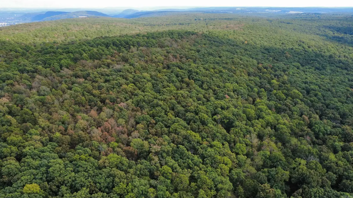 0 Iron Mountain Road, Mountain View, AR 72560 - #1