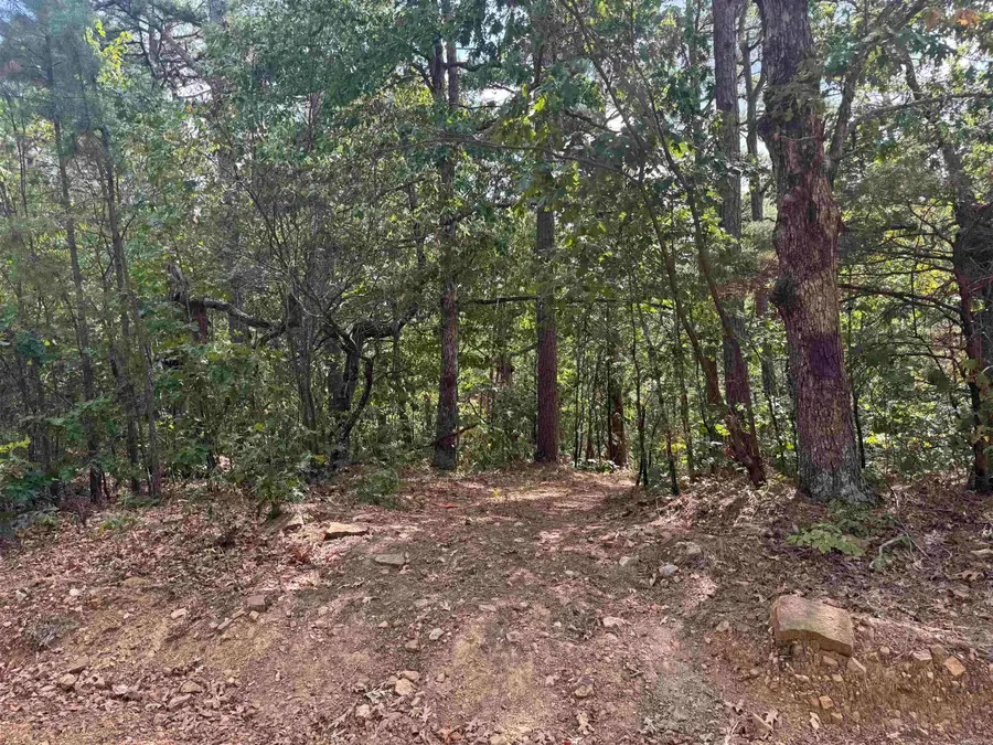 0 Iron Mountain Road, Mountain View, AR 72560 - #2
