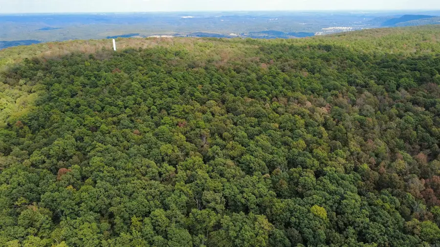 0 Iron Mountain Road, Mountain View, AR 72560 - #3