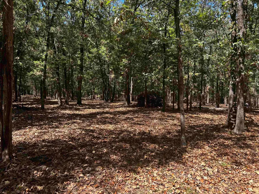 Tract A & Tract B, Cabot, AR 72023 - #3
