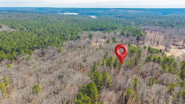 0000 Brushy Cemetery Road, Amity, AR 71921