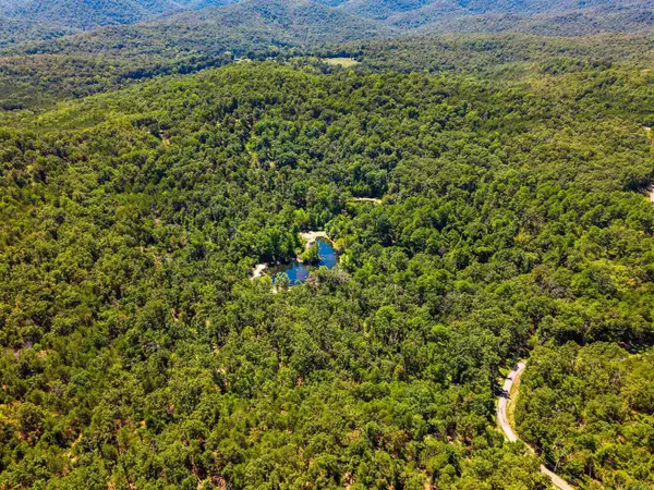 1499 Ollie Mountain Lane, Flippin, AR 72634