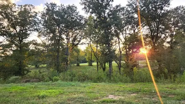 XXX (Tract 02) Wilde Pond, Story, AR 71970