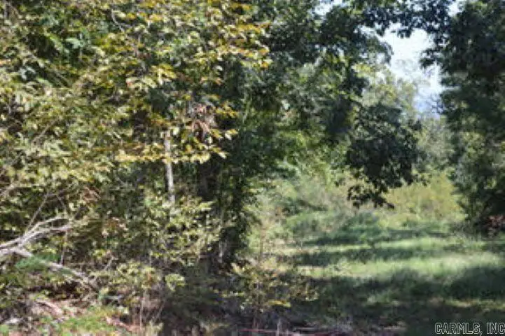 Lot 21 Cooper Point Subdivision, Mountain View, AR 72560 - #2