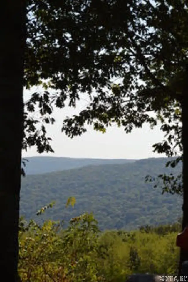 Lot 21 Cooper Point Subdivision, Mountain View, AR 72560 - #3