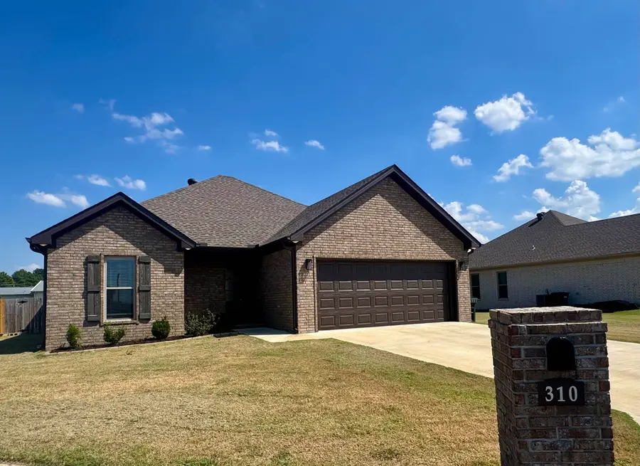 310 Hollis Street, Bono, AR 72417 - #3