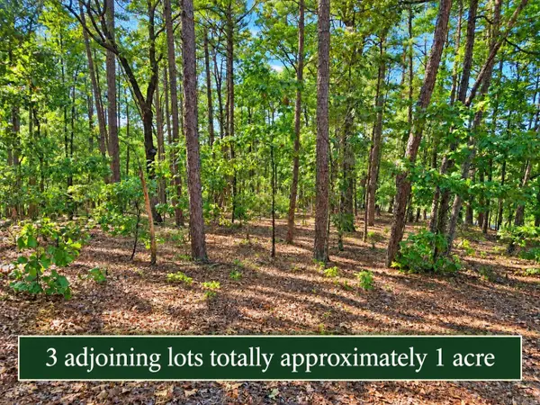 2, 4 and 6 Cobrar Place, Hot Springs Village, AR 71909