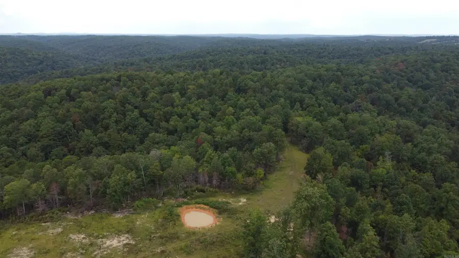 2561 Gutter Rd, Harriet, AR 72639 - #3