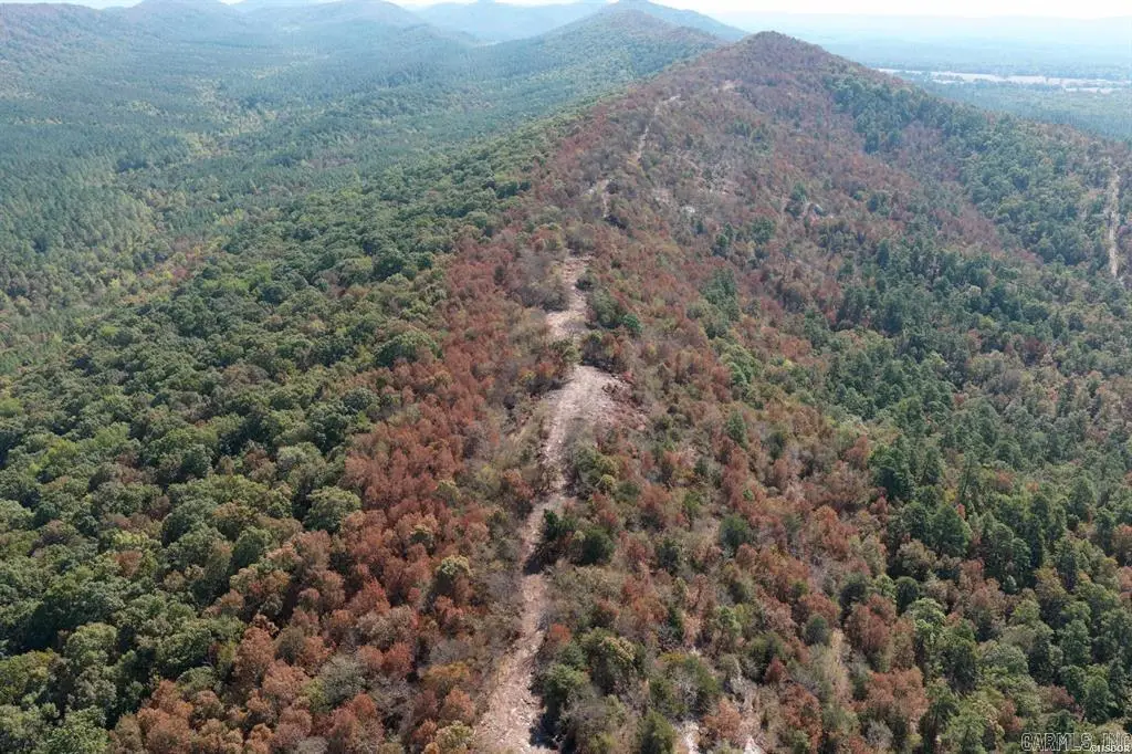 80 Acres Hall Cemetery Road, Glenwood, AR 71943 - #1
