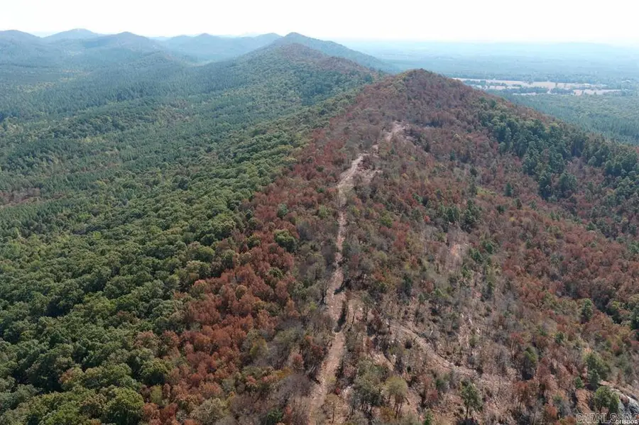 80 Acres Hall Cemetery Road, Glenwood, AR 71943 - #3