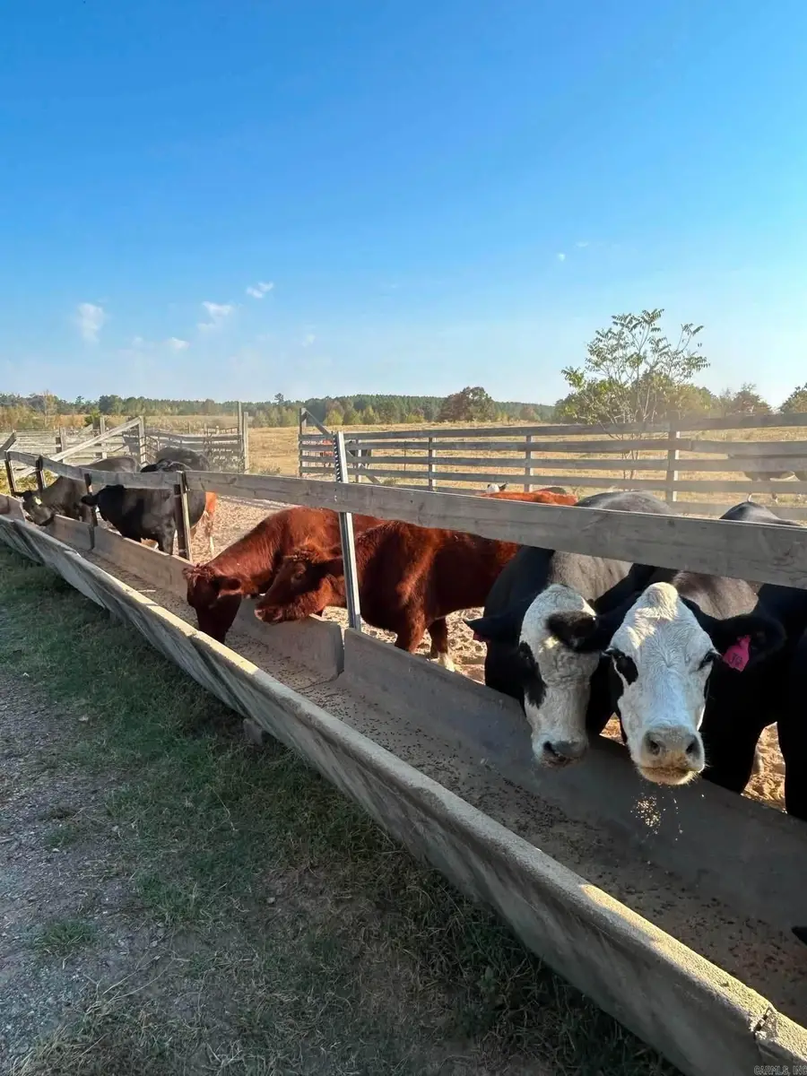 85 Acres Hwy 182, Amity, AR 71921 - #3