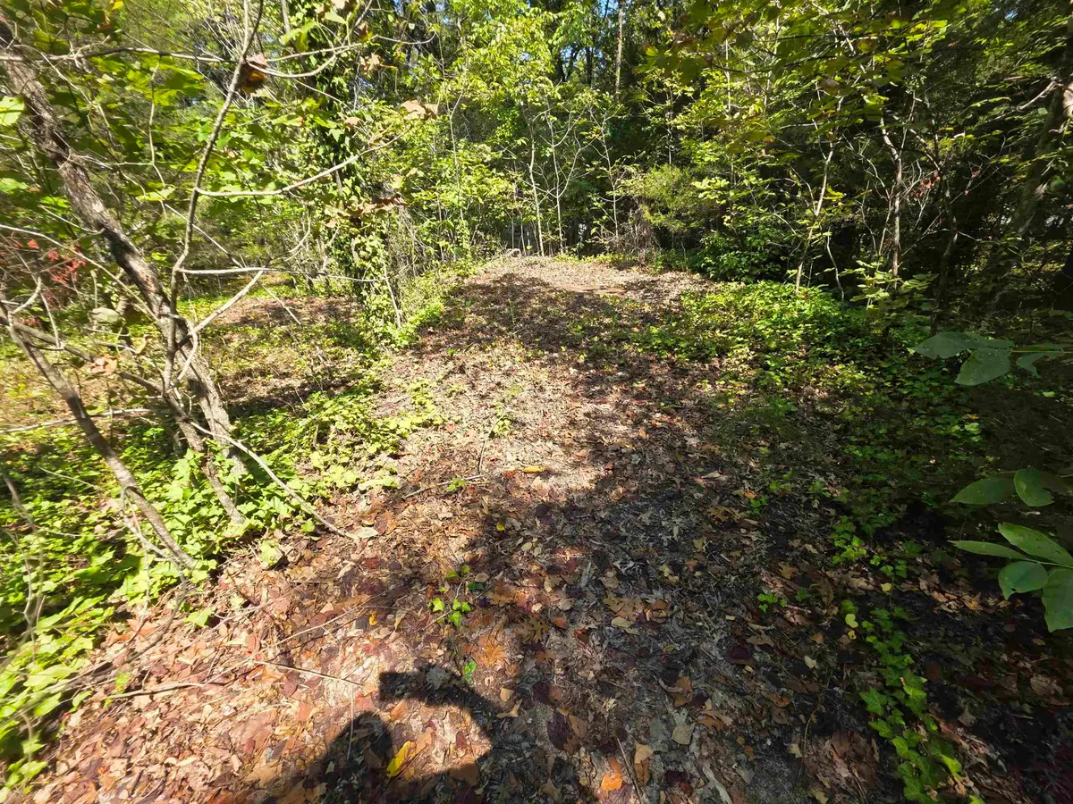 L-10 B-2 Summit Ridge Drive, Ozark Acres, AR 72482 - #1