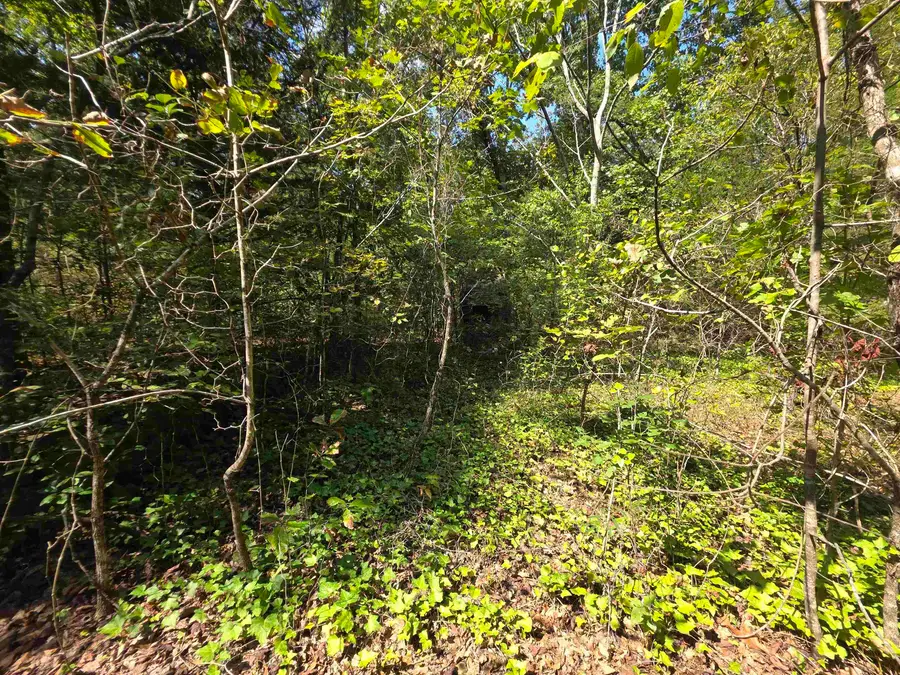 L-10 B-2 Summit Ridge Drive, Ozark Acres, AR 72482 - #2