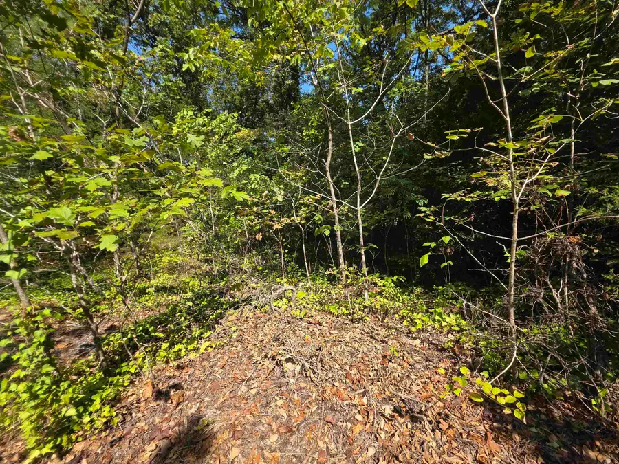 L-10 B-2 Summit Ridge Drive, Ozark Acres, AR 72482 - #3