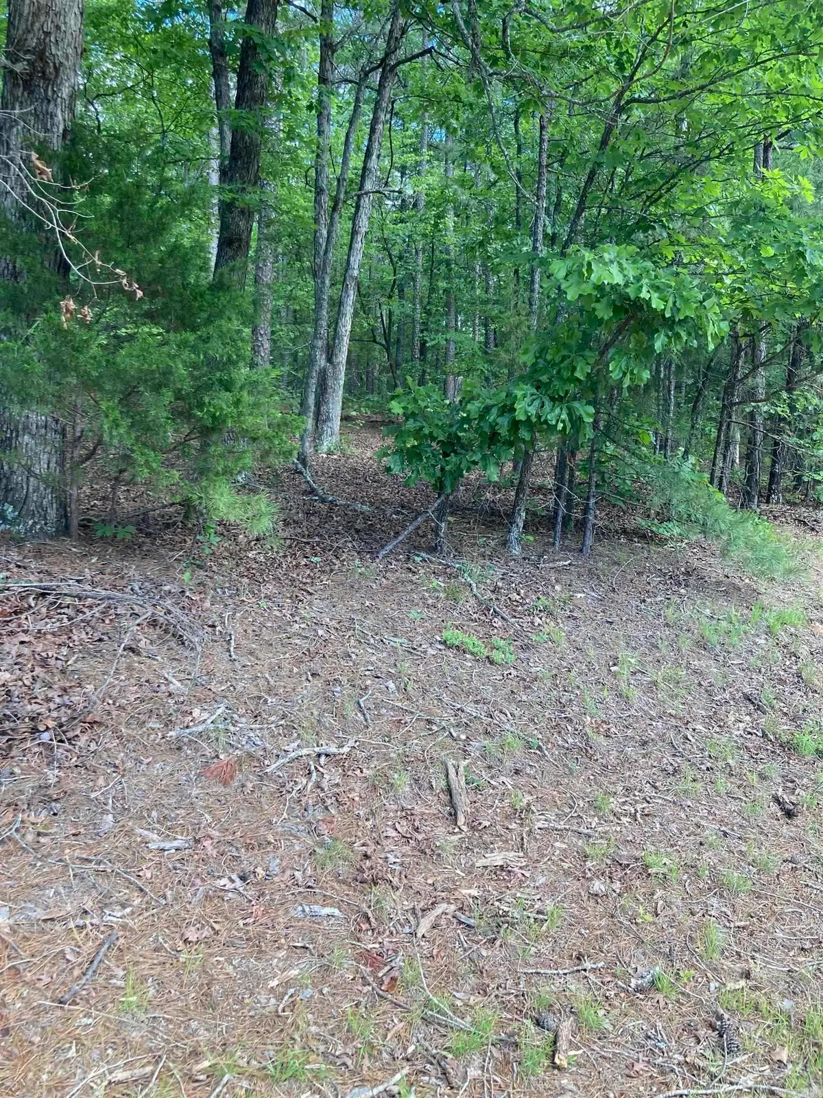 000 Dave Creek Pkwy, Fairfield Bay, AR 72088 - #1