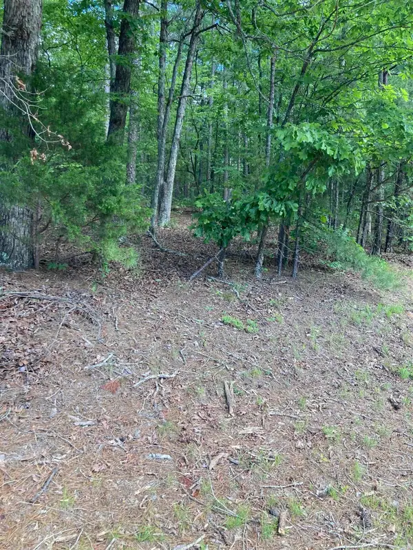 000 Dave Creek Pkwy, Fairfield Bay, AR 72088