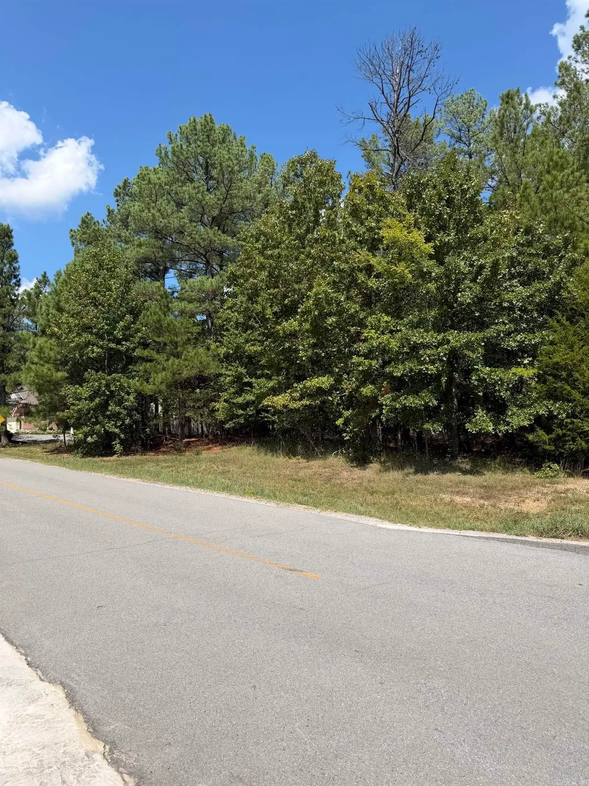 15 Elcano Drive, Hot Springs Village, AR 71909 - #1
