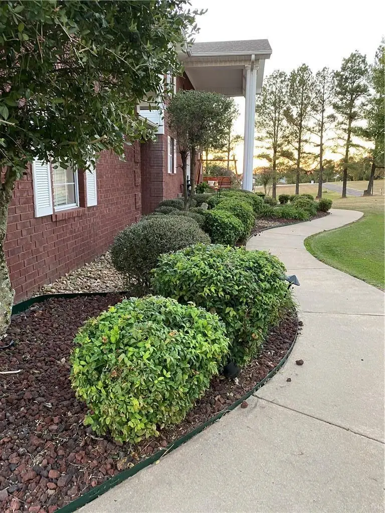 3 Bluff Dr, Russellville, AR 72802 - #3