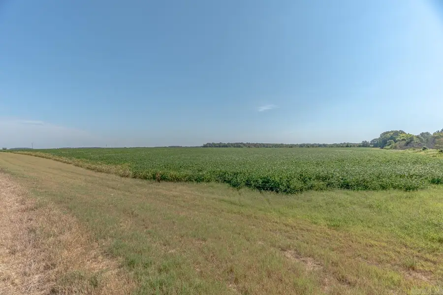 TBD Cr 244, Wynne, AR 72396 - #2