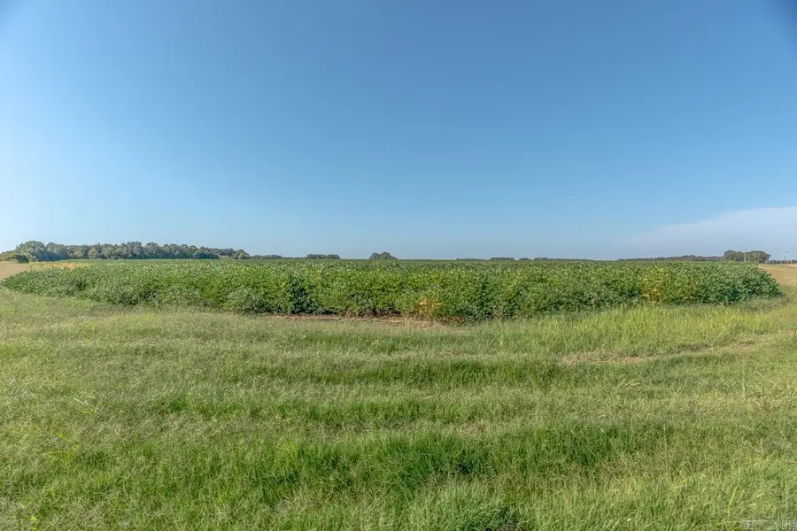 TBD Cr 244, Wynne, AR 72396 - #3
