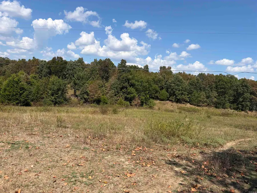 320 Stateline Rd, Mammoth Spring, AR 72554 - #3