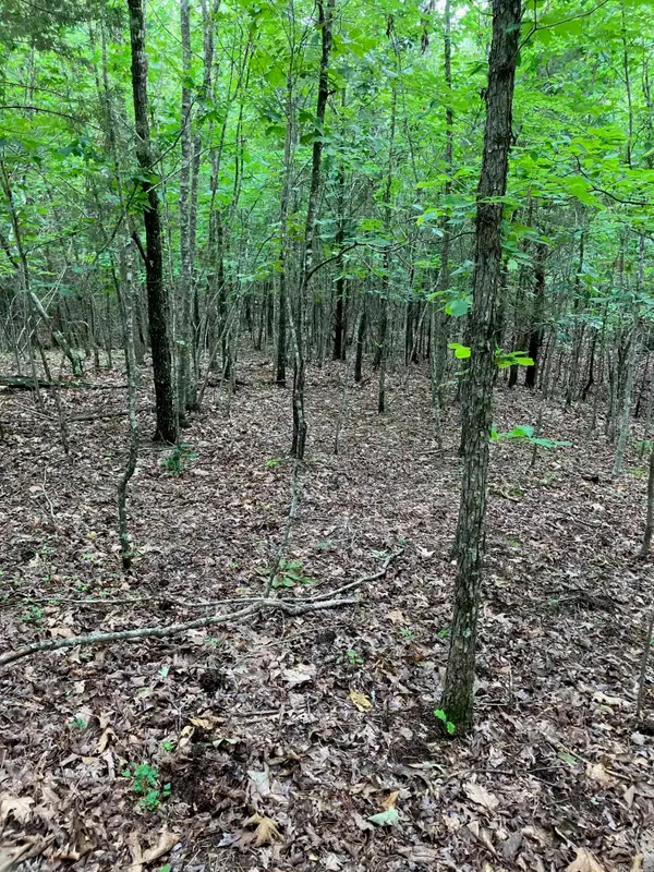 TBD 2 AC Thompson Creek Lane Lane, Mena, AR 71953