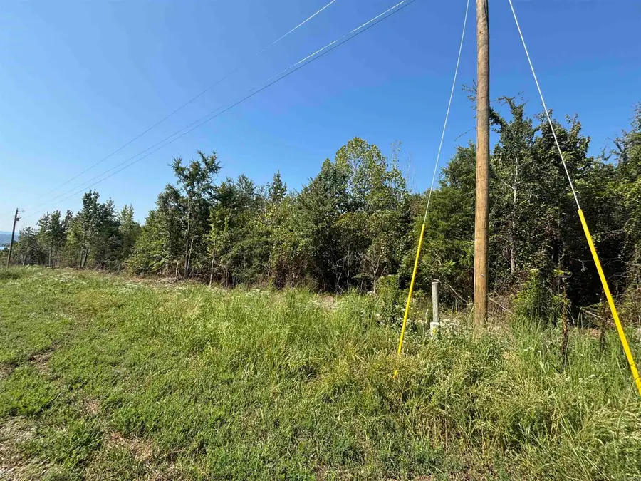 Lot 6 Scenic View Drive, Edgemont, AR 72044 - #2