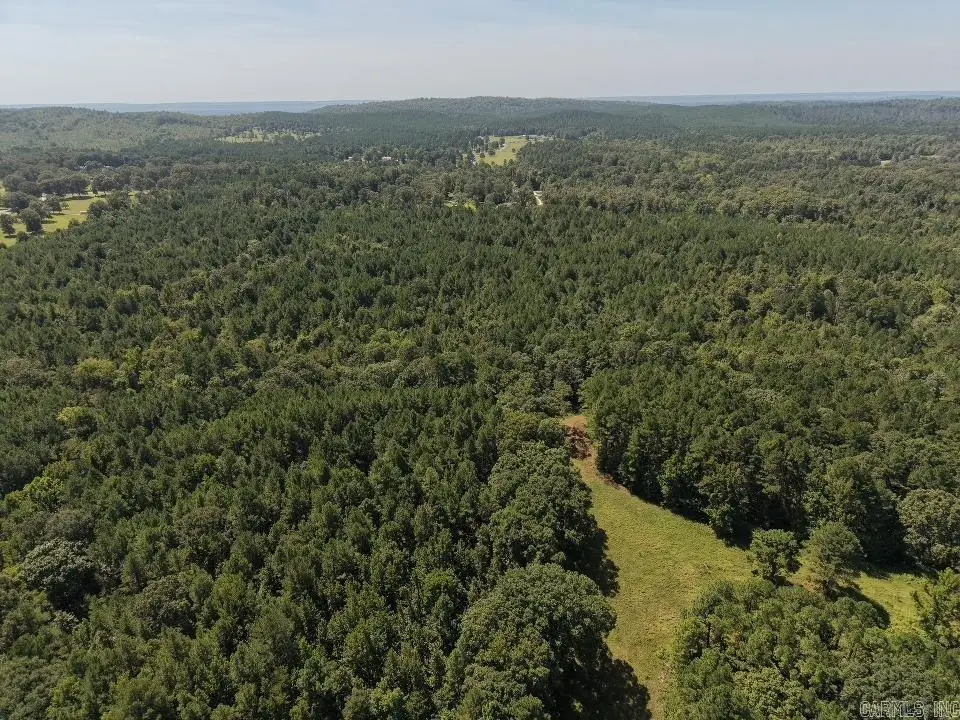 TBD Amity Road, Bonnerdale, AR 71933 - #1