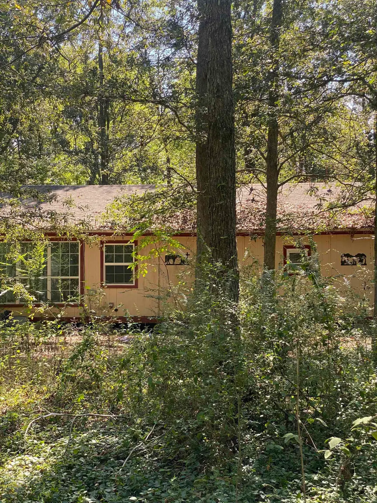 145D Clark Road, Lake Village, AR 71653 - #1