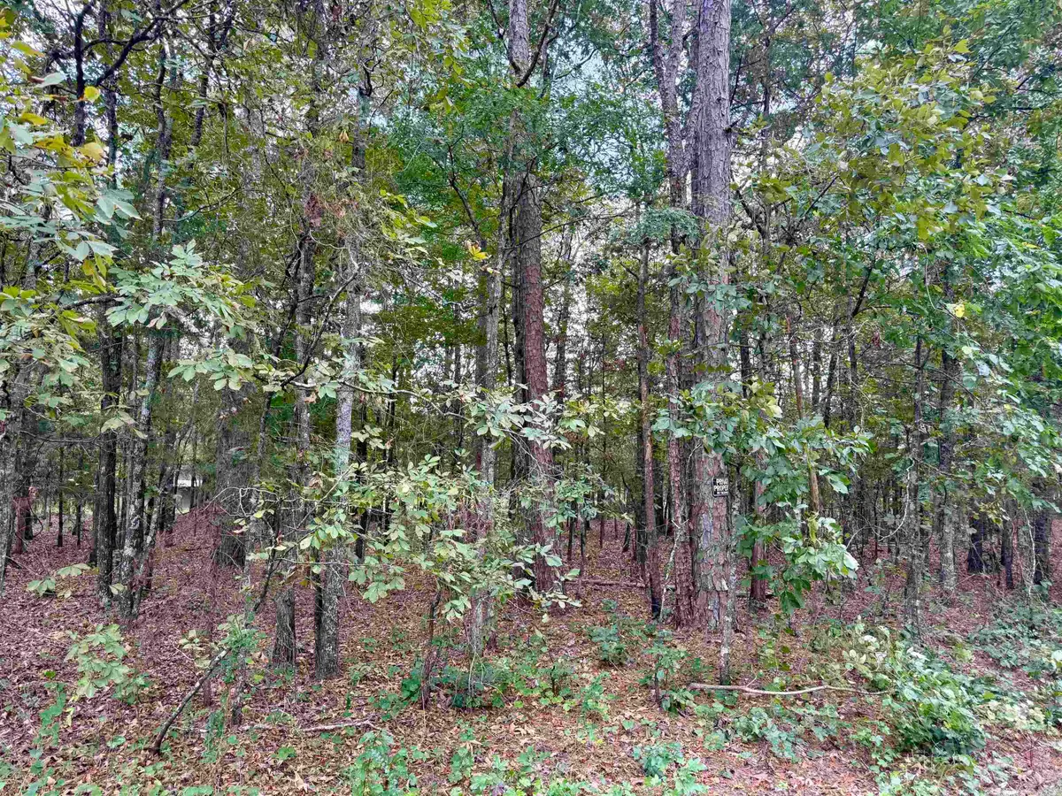 Lot 5 Ellen, Higden, AR 72067 - #1
