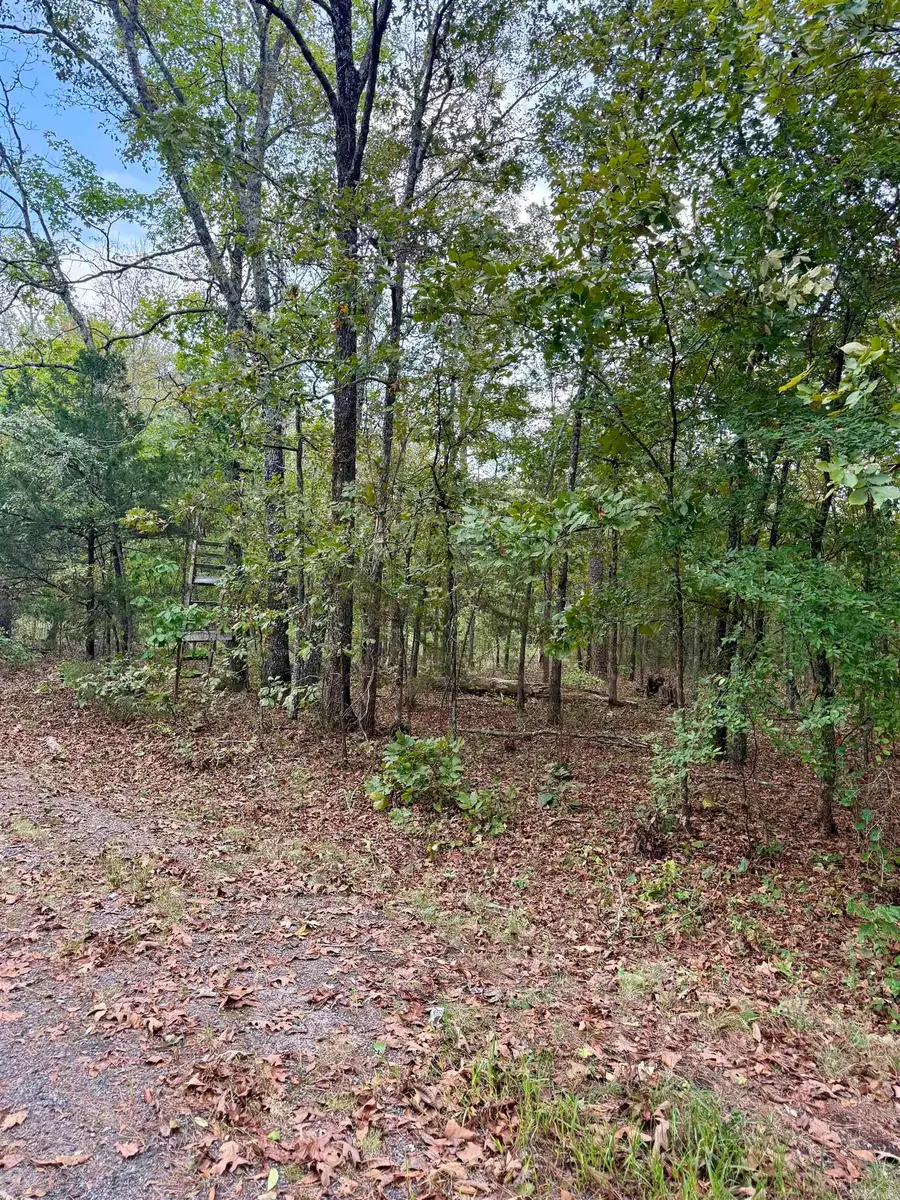 Lot 6 Ellen, Higden, AR 72067 - #2