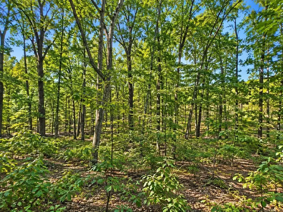 Address Withheld By Seller, Quitman, AR 72131 - #3