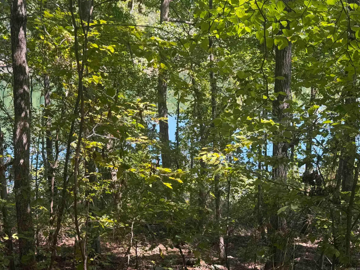 320 Lakeside Drive, Fairfield Bay, AR 72088 - #1